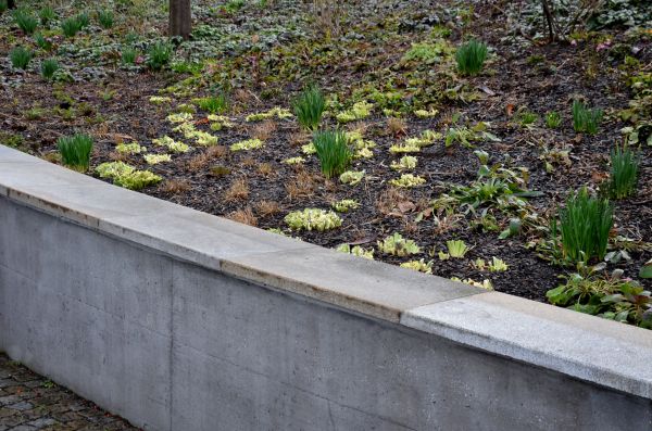 Concrete Wall Construction in Garner