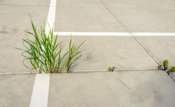 Concrete Parking Installation in Garner