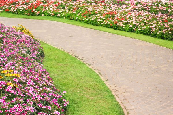 Concrete Walkway Service in Garner